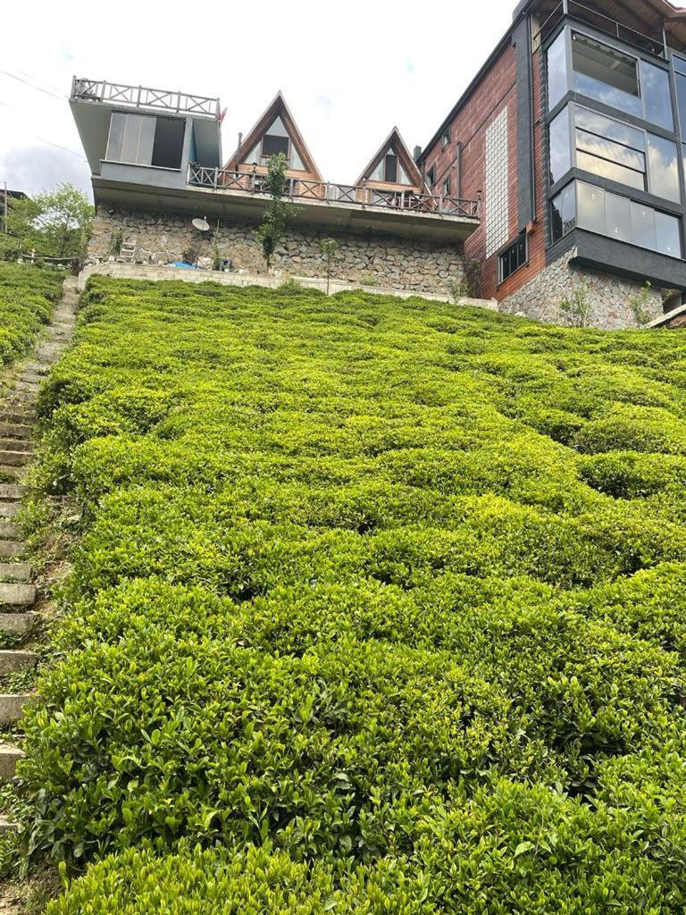 Purkinora Bungalov Camlihemsin Ngoại thất bức ảnh