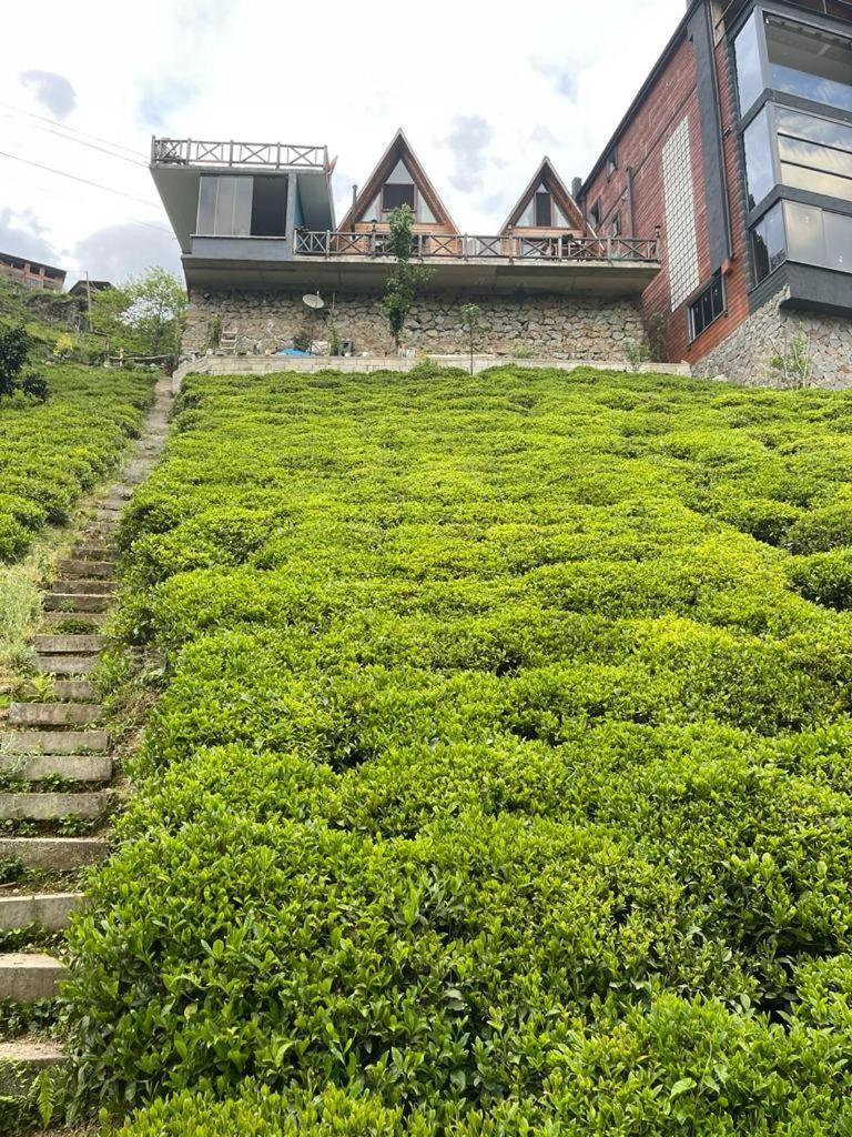 Purkinora Bungalov Camlihemsin Ngoại thất bức ảnh