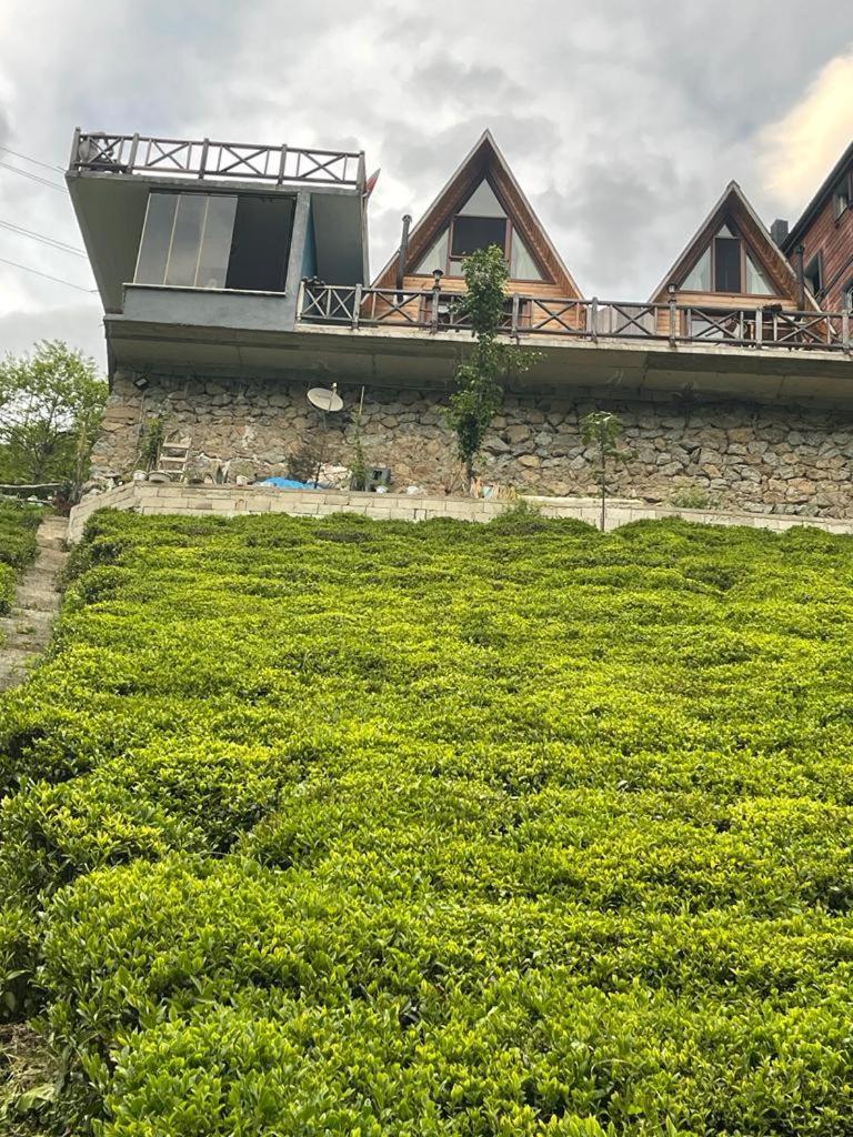 Purkinora Bungalov Camlihemsin Ngoại thất bức ảnh